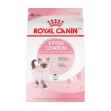 Picture of FELINE RC KITTEN - 1.37kg