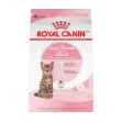 Picture of FELINE RC KITTEN SPAYED/NEUTERED - 1.14kg