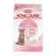 Show details for FELINE RC KITTEN SPAYED/NEUTERED - 1.14kg Picture of FELINE RC KITTEN SPAYED/NEUTERED - 1.14kg