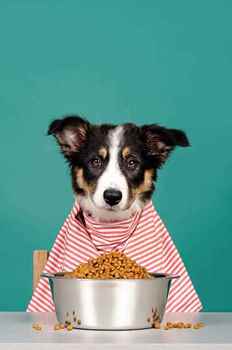 Picture for category Therapeutic Treats