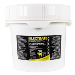 Picture of ELECTRATE ELECTROLYTE SUPPLEMENT for CALVES PAIL - 50 x 75gm