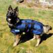 Picture of BACK ON TRACK DOG COOL ON TRACK COAT NAVY - 25cm