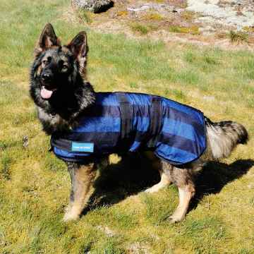 Picture of BACK ON TRACK COOL ON TRACK DOG COAT NAVY 25cm