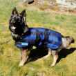 Picture of BACK ON TRACK DOG COOL ON TRACK COAT NAVY - 60cm