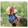 Picture of BACK ON TRACK DOG COOL ON TRACK BANDANA NAVY - Small