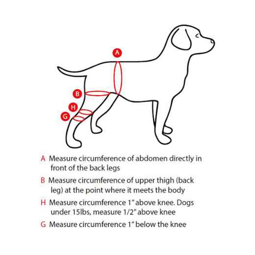 Picture of WALKABOUT CANINE STIFLE/KNEE BRACE (J1651GR) RIGHT - Large