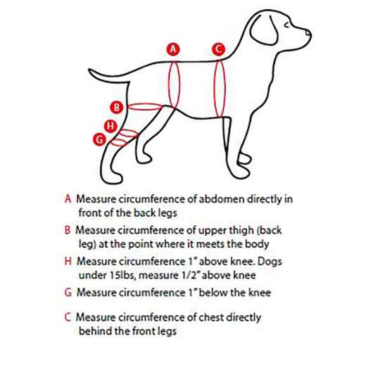 Picture of WALKABOUT CANINE DOUBLE KNEE BRACE (J1652F) - Medium/Large