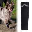 Picture of WALKABOUT CANINE COMPRESSION SLEEVE (J1654A) - X Small(so)
