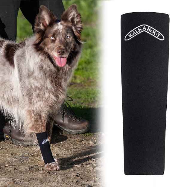 Picture of WALKABOUT CANINE COMPRESSION SLEEVE (J1654B) - Small(so)