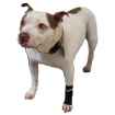 Picture of WALKABOUT CANINE COMPRESSION SLEEVE (J1654C) - Medium(so)