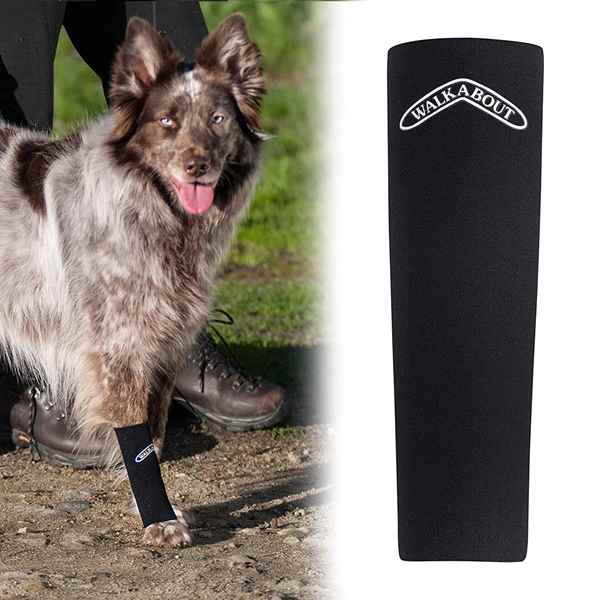 Picture of WALKABOUT CANINE COMPRESSION SLEEVE (J1654S) - 6/pk(so)