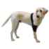 Picture of WALKABOUT CANINE ELBOW SUPPORT BRACE (J1655DR) RIGHT - Medium/Large