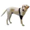 Picture of WALKABOUT CANINE ELBOW SUPPORT BRACE (J1655ER) RIGHT - Large(so)