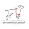 Picture of WALKABOUT CANINE ELBOW SUPPORT BRACE (J1655AL) LEFT - X Small(so)