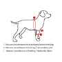 Picture of WALKABOUT CANINE ELBOW SUPPORT BRACE (J1655DL) LEFT - Med/Large