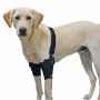 Picture of WALKABOUT CANINE ELBOW SUPPORT BRACE (J1656A) DOUBLE - X Small(so)