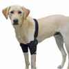 Picture of WALKABOUT CANINE ELBOW SUPPORT BRACE  (J1656D) DOUBLE - Med/Large(so)