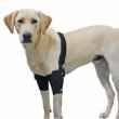 Picture of WALKABOUT CANINE ELBOW SUPPORT BRACE S (J1656S) DOUBLE - 6/pk