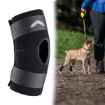 Picture of WALKABOUT CANINE HOCK SUPPORT BRACE (J1657A) - X Small(so)