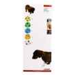 Picture of PET FLEX COHESIVE WRAP Kruuse Asst patterns 10cm x 4.5m - 10/pk