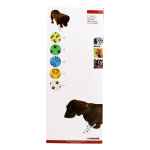 Picture of PET FLEX COHESIVE WRAP Kruuse Asst patterns 10cm x 4.5m - 10/pk