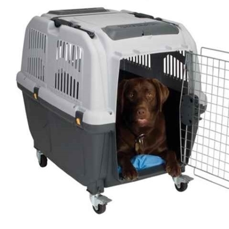 Picture for category Kennels, Exercise Pens & Accessories