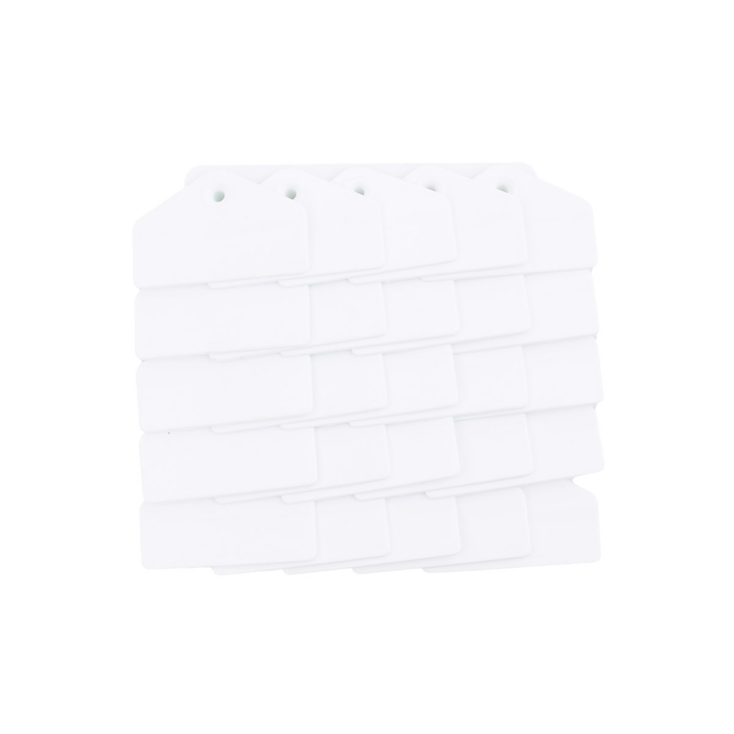 Picture of ALLFLEX TAG GLOBAL HOG MALE BLANK WHITE - 25/bag