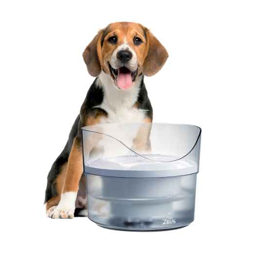 Picture of FOUNTAIN ZEUS FRESH & CLEAR DRINKING Translucent w/ Splash Guard- 50.7oz/1.5L