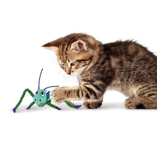 Picture of TOY CAT KONG CRACKLES - Grasshopper