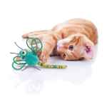 Picture of TOY CAT KONG FLINGAROO Dragonfly - Assorted Colours