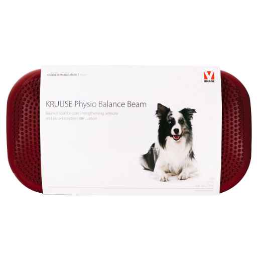 Picture of KRUUSE PHYSIO BALANCE BEAM BONE Medium (279210) - 57cm