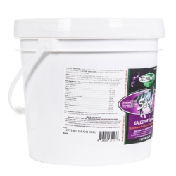 Picture of GALOZYME EQUINE SPORT - 2.4kg