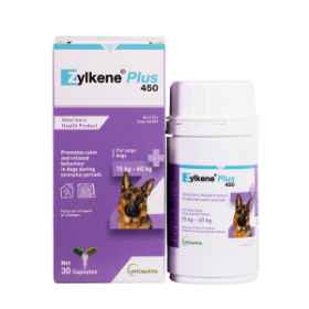 Show details for ZYLKENE PLUS CAPS 450mg - 30's Picture of ZYLKENE PLUS CAPS 450mg - 30's