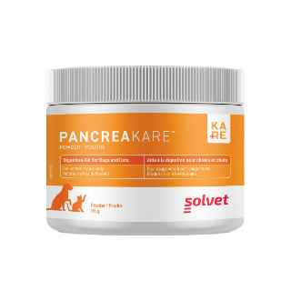 Picture of PANCREAKARE POWDER(PANCREATIC ENZYME) - 4oz / 115g