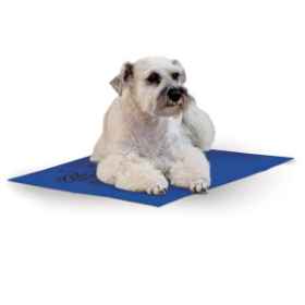 Show details for COOLING WATER PAD BLUE - Medium Picture of COOLING WATER PAD BLUE - Medium