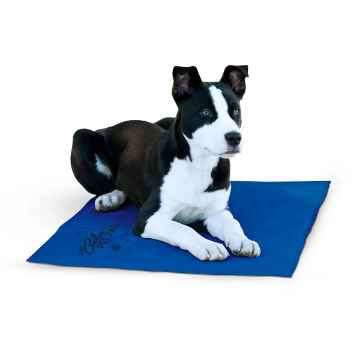 Picture of COOLING WATER PAD BLUE - Large