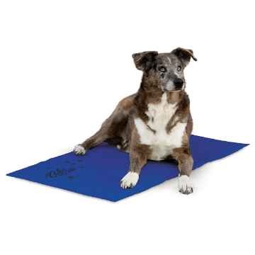 Picture of COOLING WATER PAD BLUE - X Large