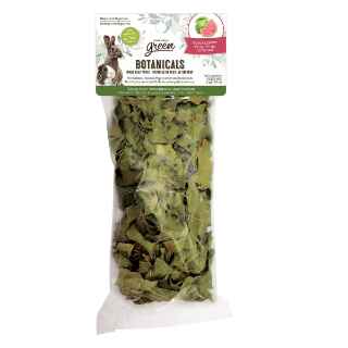 Picture of TREAT SMALL ANIMAL LIVING WORLD GREEN BOTANICALS Guava Leaves - 10g/0.35oz