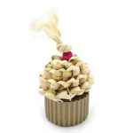 Picture of OXBOW ENRIICHED LIFE NATURAL CHEWS - Celebration Cupcake