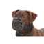 Show details for MUZZLE BUSTER EXTREME BASKET STYLE Size 1 (272351) Picture of MUZZLE BUSTER EXTREME BASKET STYLE Size 1 (272351)