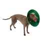 Picture of BUSTER COLLAR Green Ocean (273342) - 7.5cm