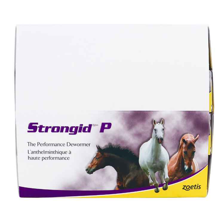 Picture of STRONGID-P PASTE SYRINGE 12 x 23.6g syr (su3)
