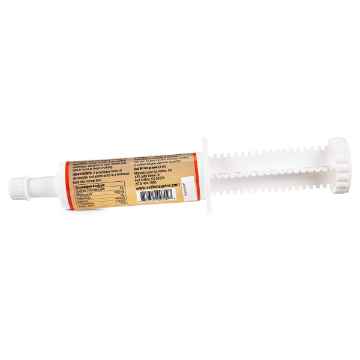 Show details for EQUILYTES PASTE - 60g Tube Picture of EQUILYTES PASTE - 60g Tube