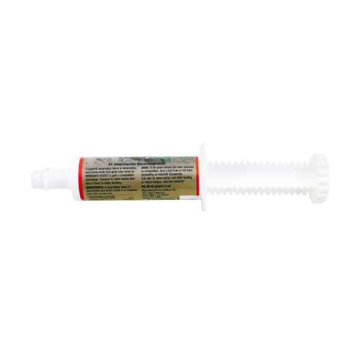 Picture of EQUILYTES PASTE - 60g Tube