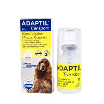 Show details for ADAPTIL TRANSPORT SPRAY - 20ml Picture of ADAPTIL TRANSPORT SPRAY - 20ml