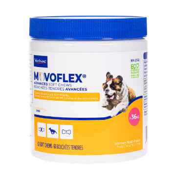 Show details for MOVOFLEX ADVANCED SOFT CHEWS over 36kg - 60s Picture of MOVOFLEX ADVANCED SOFT CHEWS over 36kg - 60s