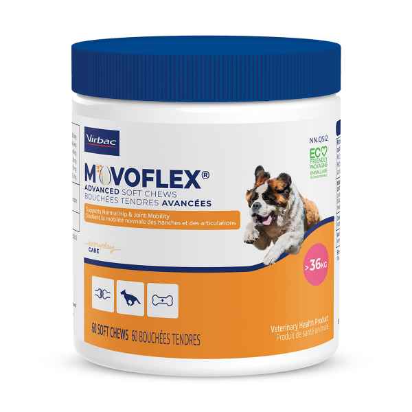 Picture of MOVOFLEX ADVANCED SOFT CHEWS over 36kg - 60s