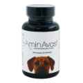 Picture of AMINAVAST KIDNEY SUPPORT SUPPLEMENT for DOGS - 60 Capsules