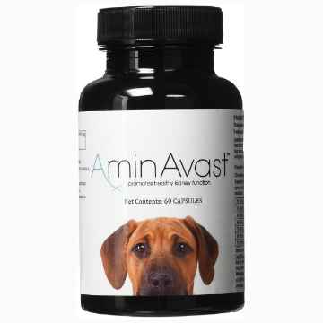 Picture of AMINAVAST KIDNEY SUPPORT SUPPLEMENT for DOGS - 60 Capsules
