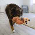 Picture of TOY DOG DYNOS ROARS Orange - Medium/Large